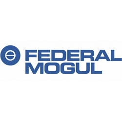 11 federal mogul
